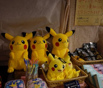 Pokémon plushies