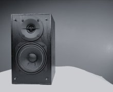 Audio Woofer