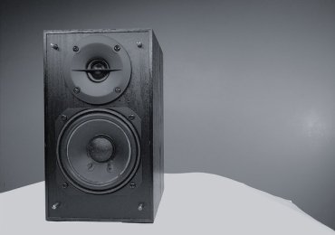 Audio Woofer