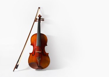 Violin